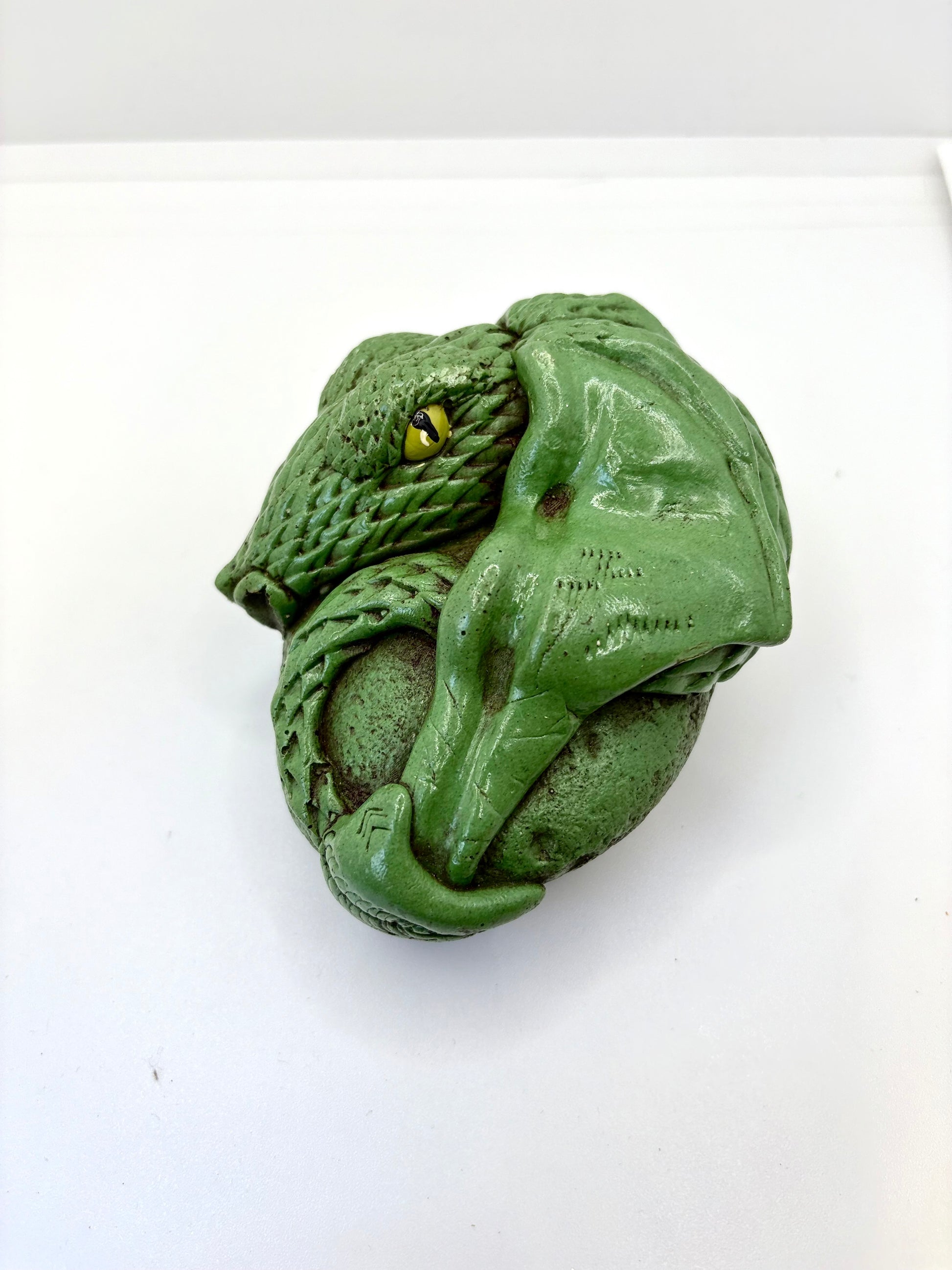 Green Dragon - Dandelion Lifestyle