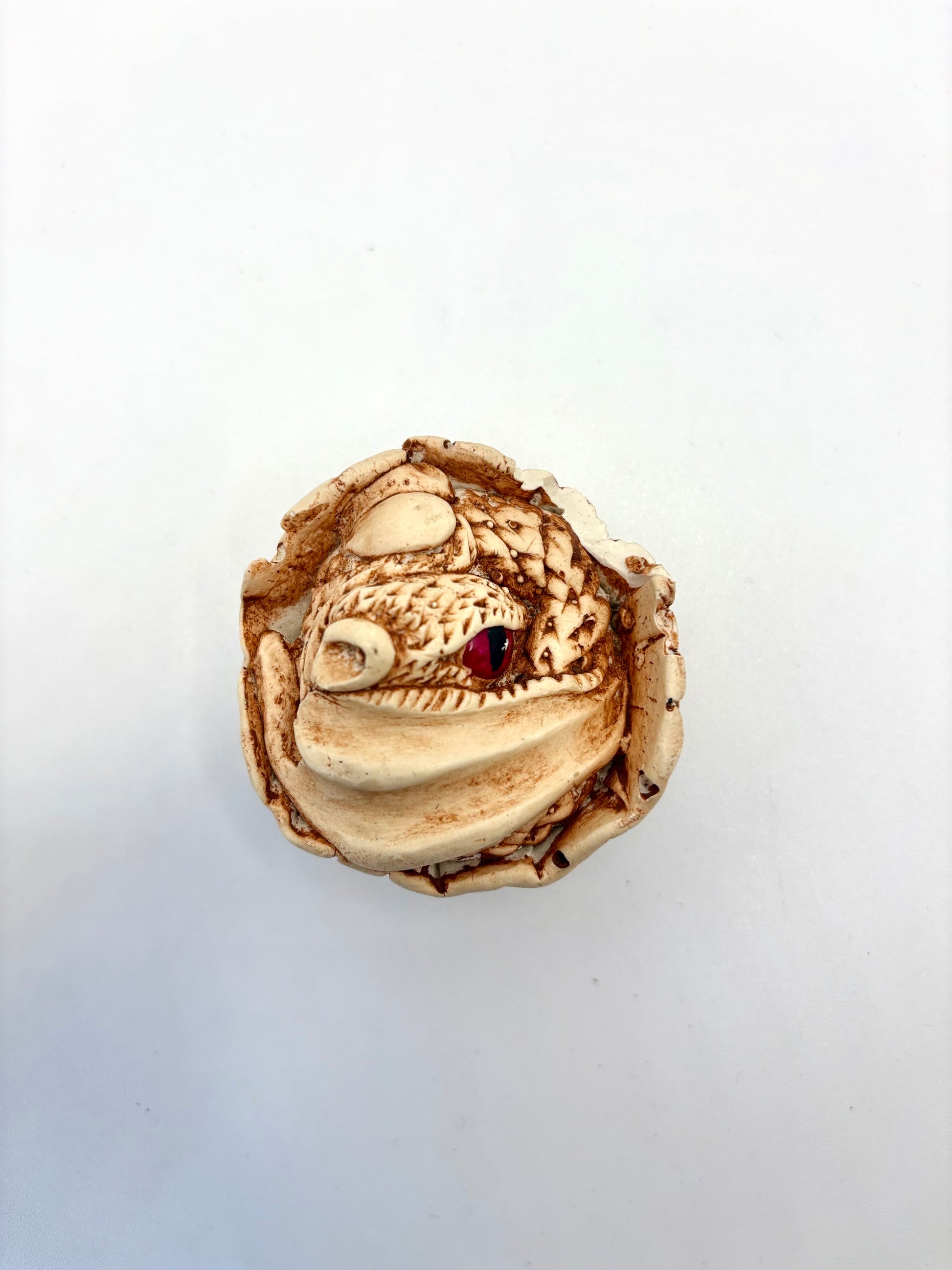 Mini Dragon - Dandelion Lifestyle