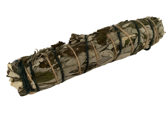 Wild African Sage Stick - Dandelion Lifestyle