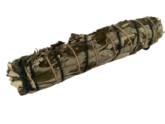 Wild African Sage Stick - Dandelion Lifestyle