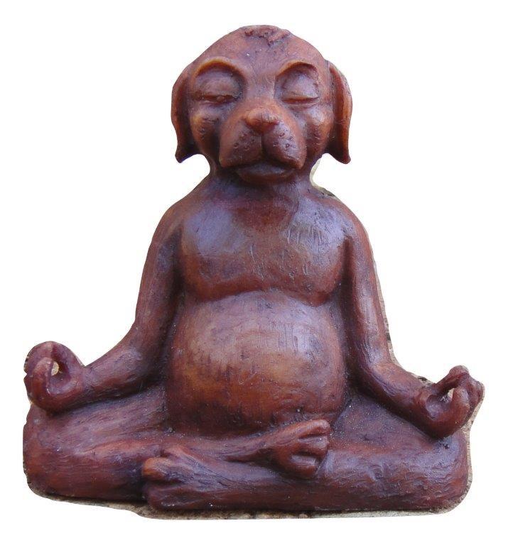 Meditation Dog - Dandelion Lifestyle